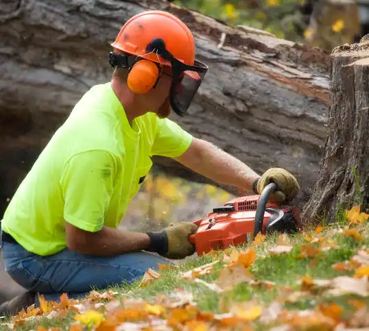 tree services Biwabik